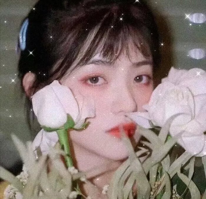 巩仙