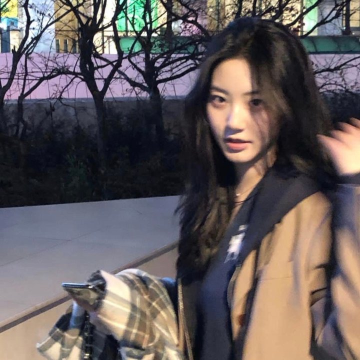 奶牛阴谋